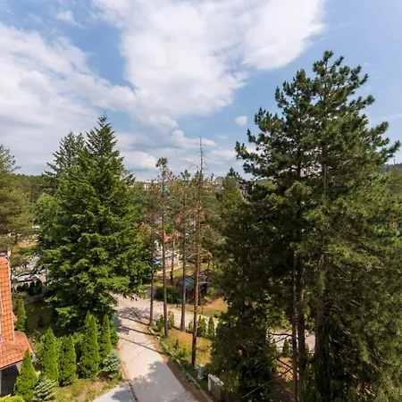 Pino Silvestre Ii - Sir Oliver